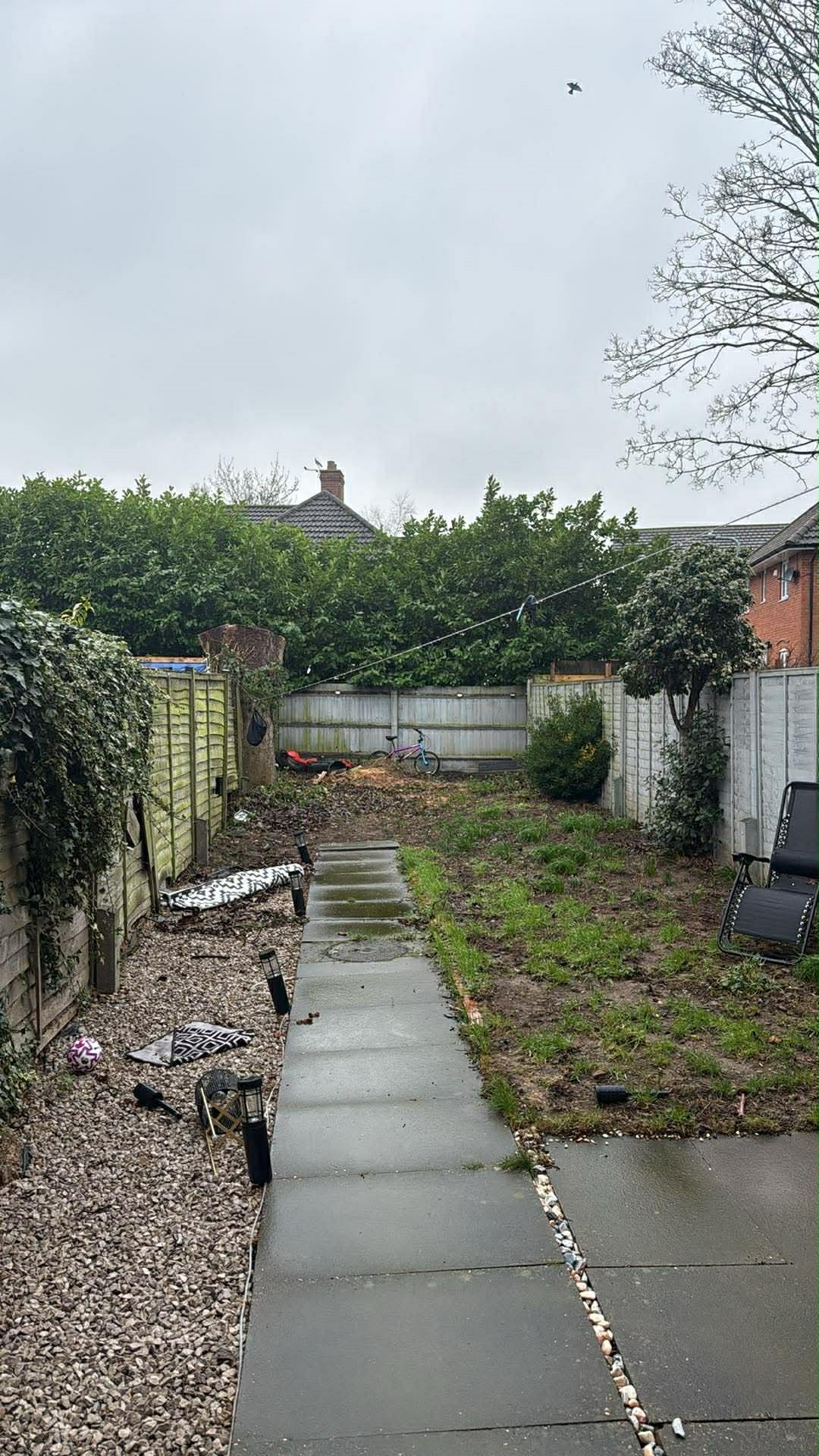 Garden before renovation 3 - overgrown state