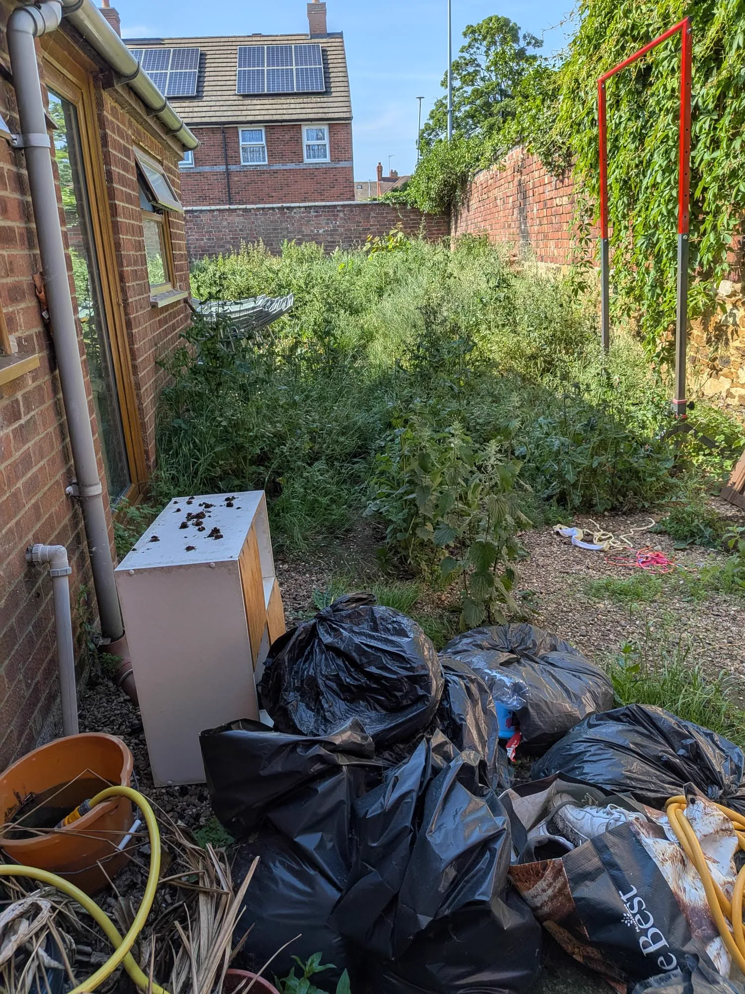 Overgrown brick-walled garden before clearance and landscaping